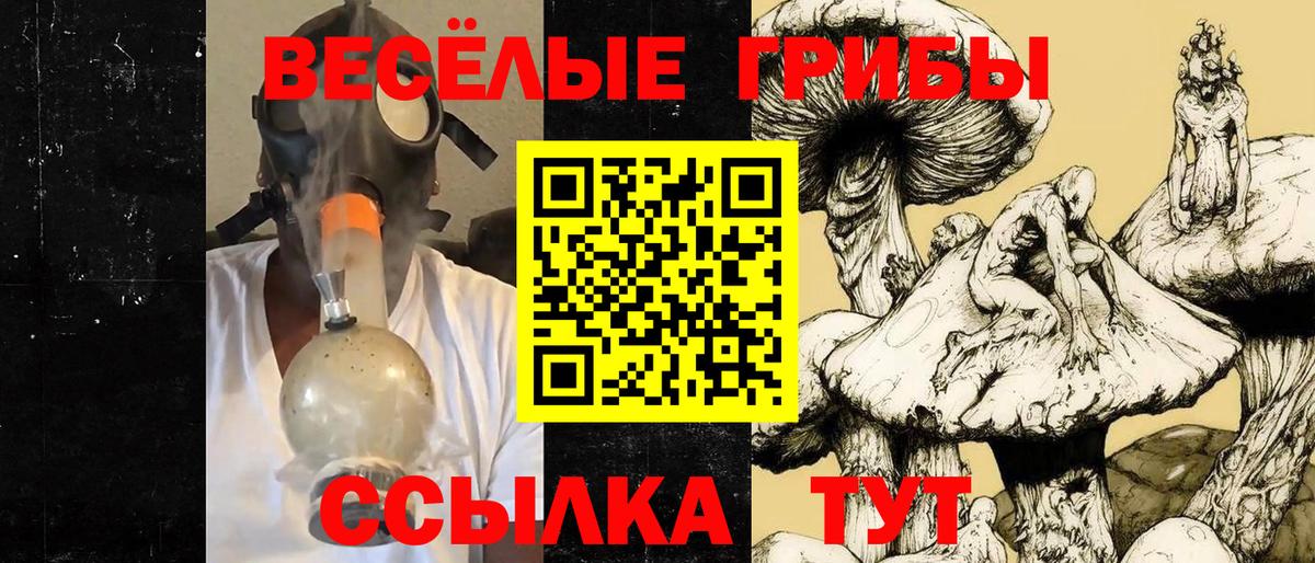 Псилоцибиновые грибы Cubensis Алейск